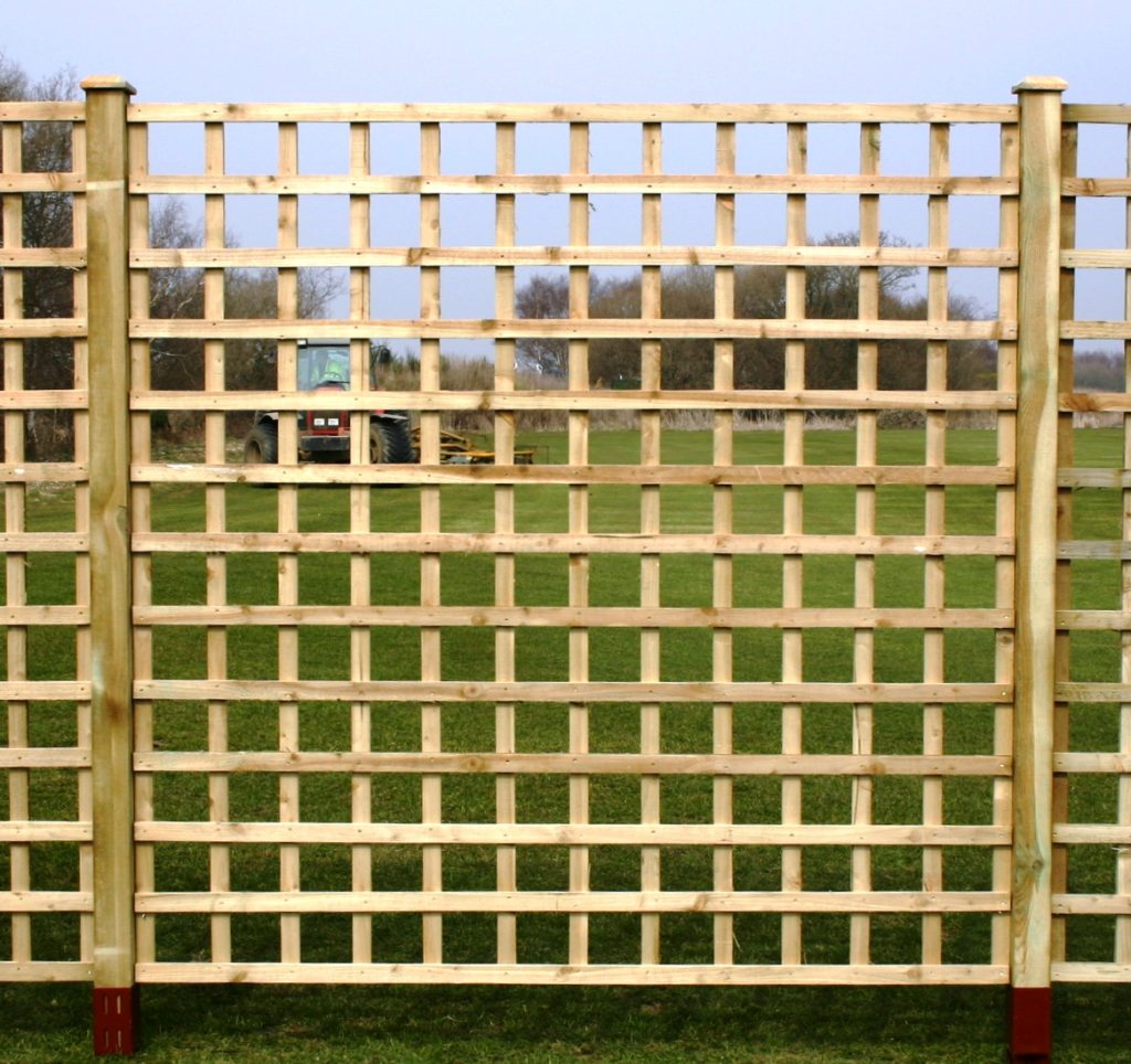 Trellis Dip Treated Fence Panel 1828mm x 915mm