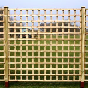 Trellis Dip Treated Fence Panel 1828mm x 305mm